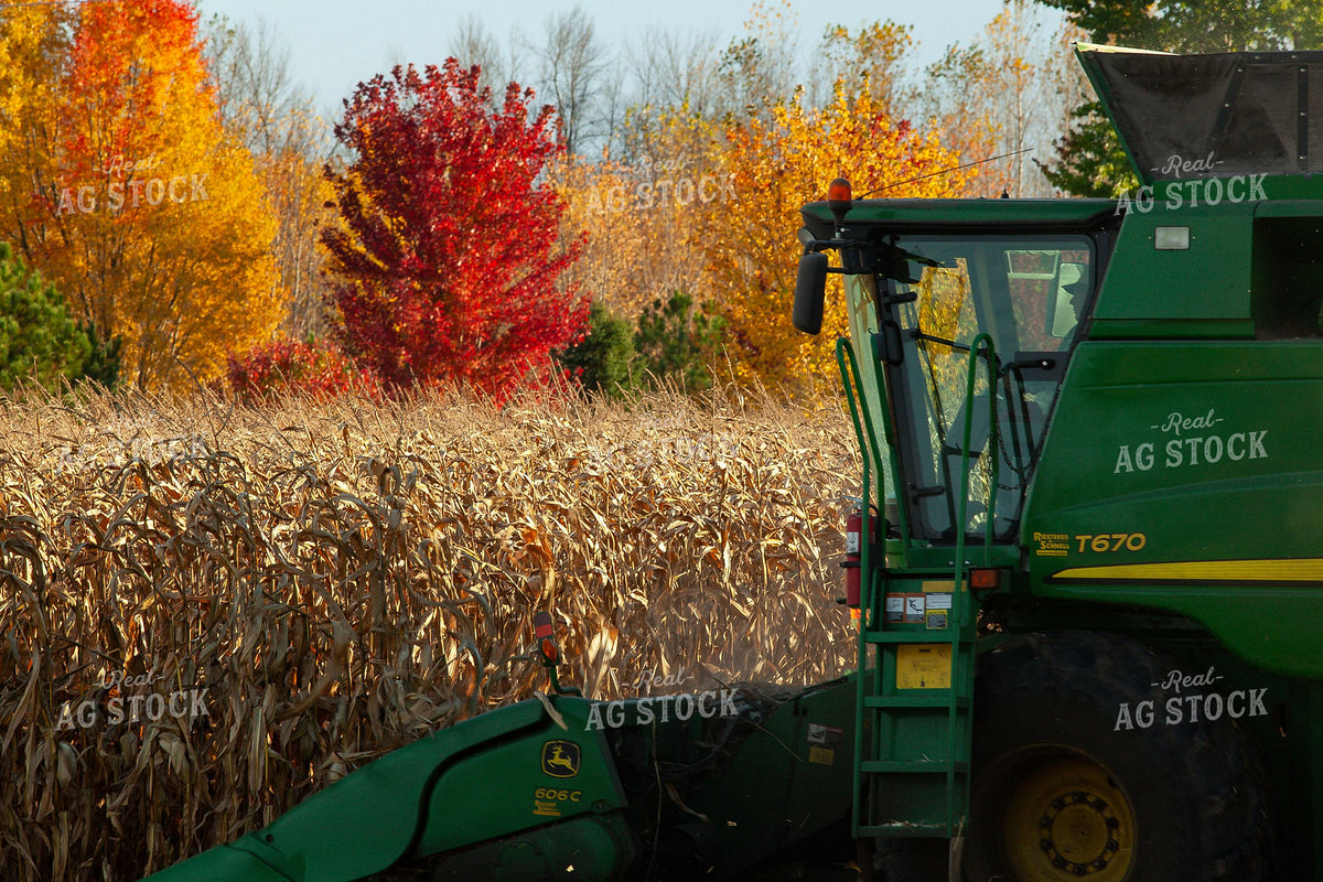 John Deere Combine Harvesting Dried Corn in Fall 410000