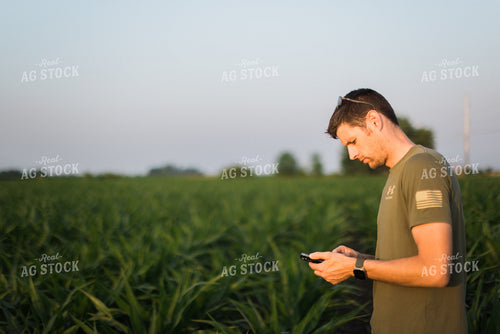 Young Farmer Using Phone in Corn Field 8156