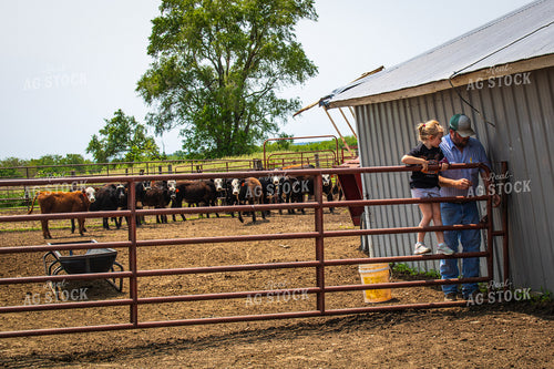 Farmer and Farm Kid Feeding Cattle 214148