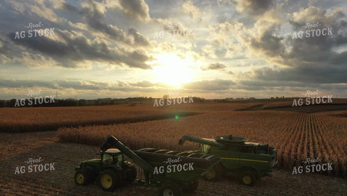 Aerial of Corn Harvest 250031