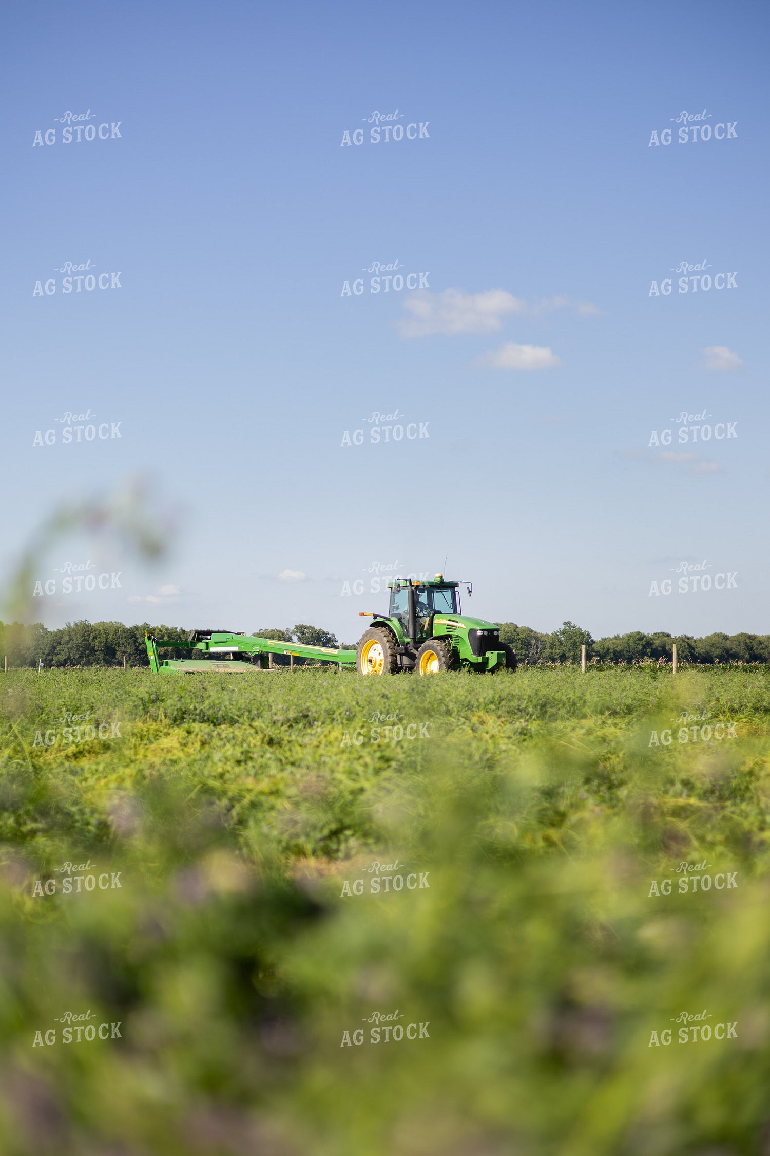 Mowing Hay 281000