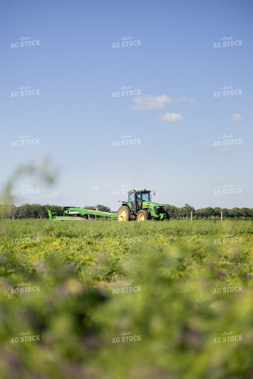 Mowing Hay 281000
