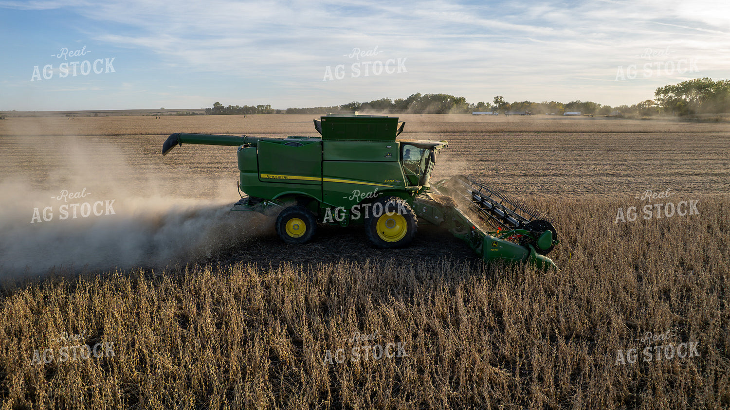 Soybean Harvest 65973