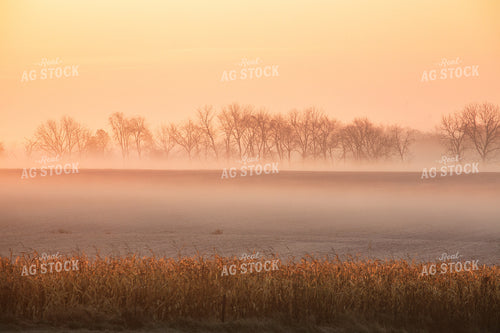 Foggy Sunrise Over Fall Landscape 145061