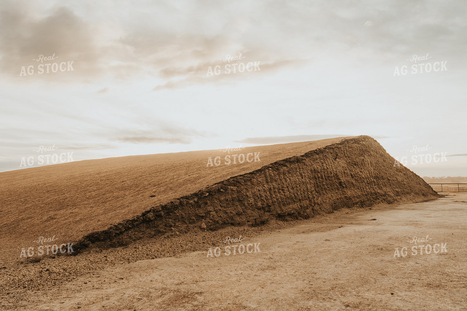 Uncovered Silage Pile 61257