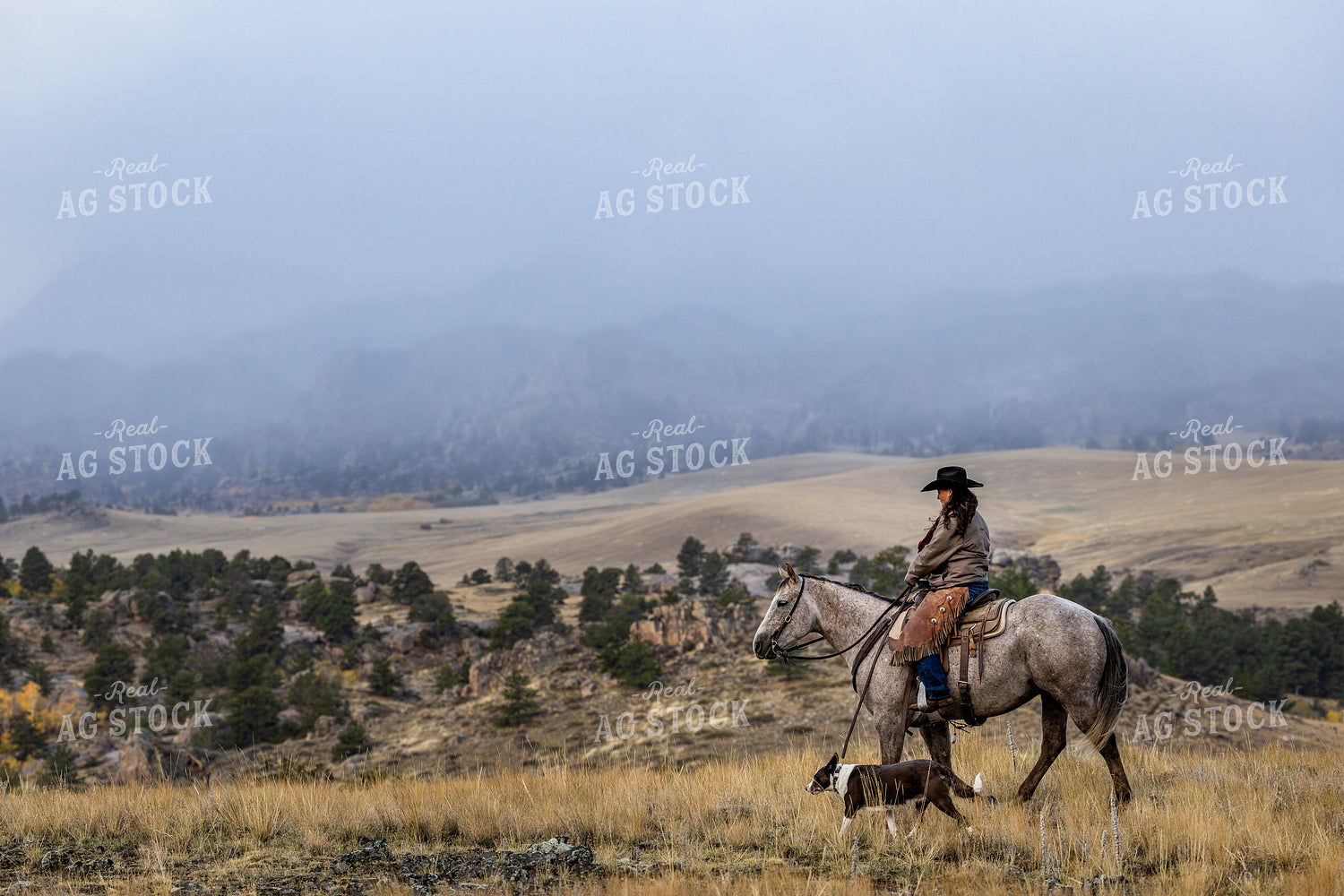 Cowgirl on Horseback with Dog 290030