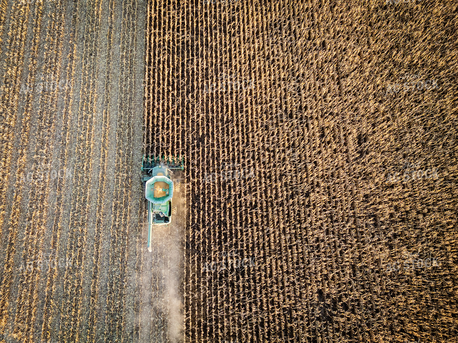 Aerial of Corn Harvest 268230