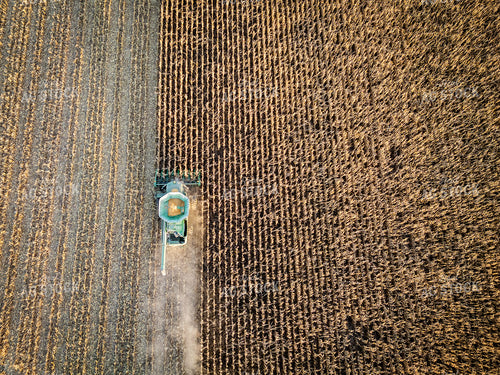 Aerial of Corn Harvest 268230