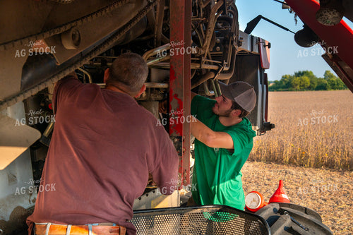 Multigenerational Farm Familiy Repairing Combine in a Bean Field 25438