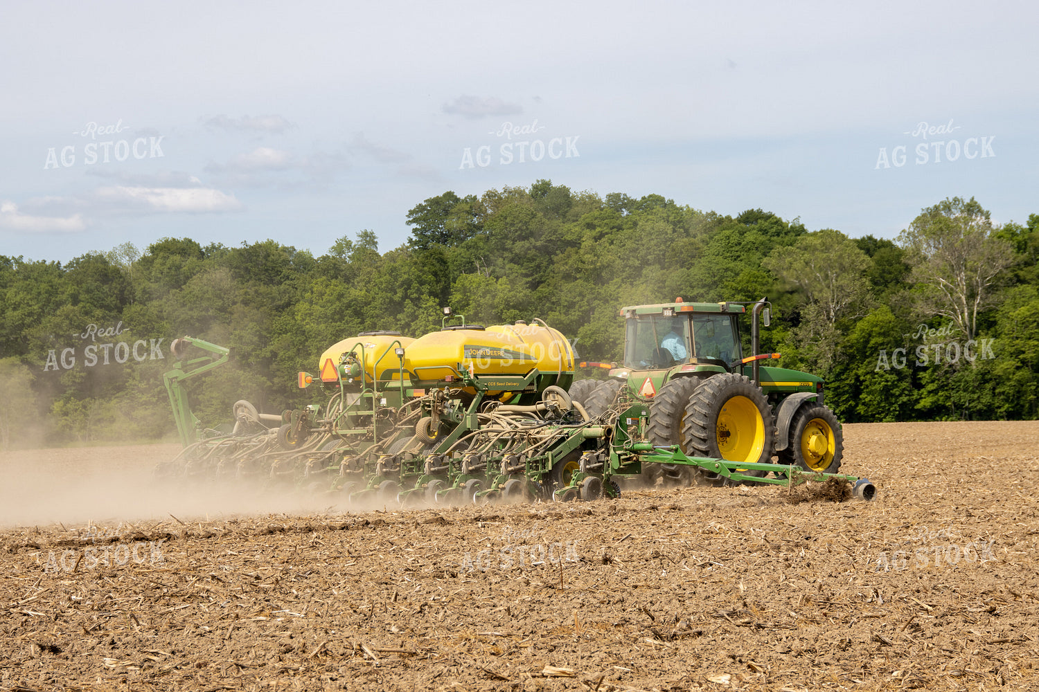 Planting on Sunny Day 52118