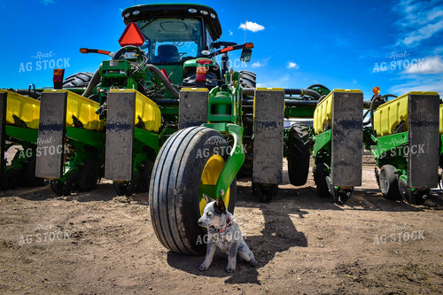 Farm Dog with Planter 56126