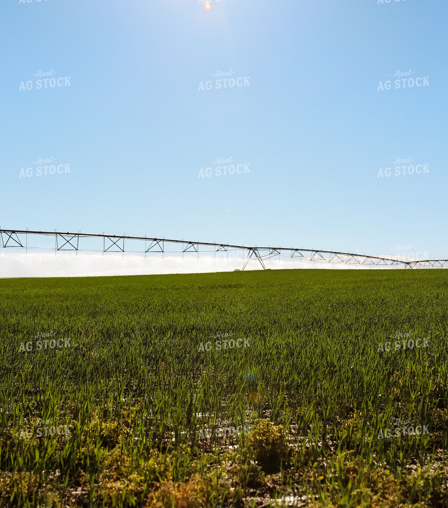 Irrigation System in Hay Field 83011