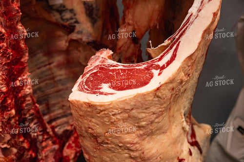 Pork Carcass in Meat Locker 52774