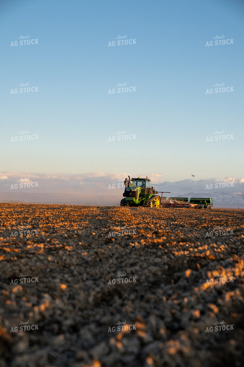 Drilling Barley 186006