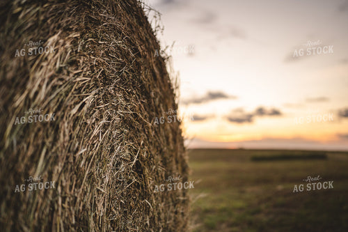 Hay Bale 196063