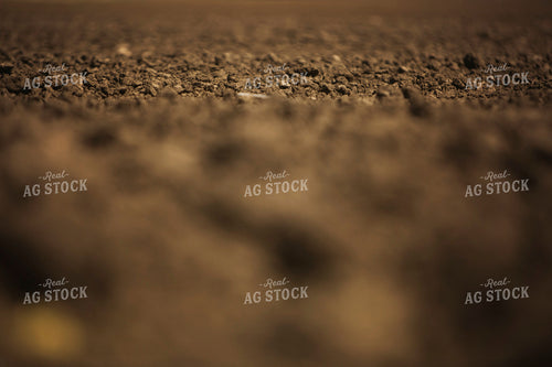 Freshly Tilled Soil 9694