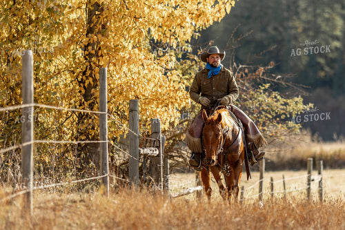 Cowboy on Horseback 188158