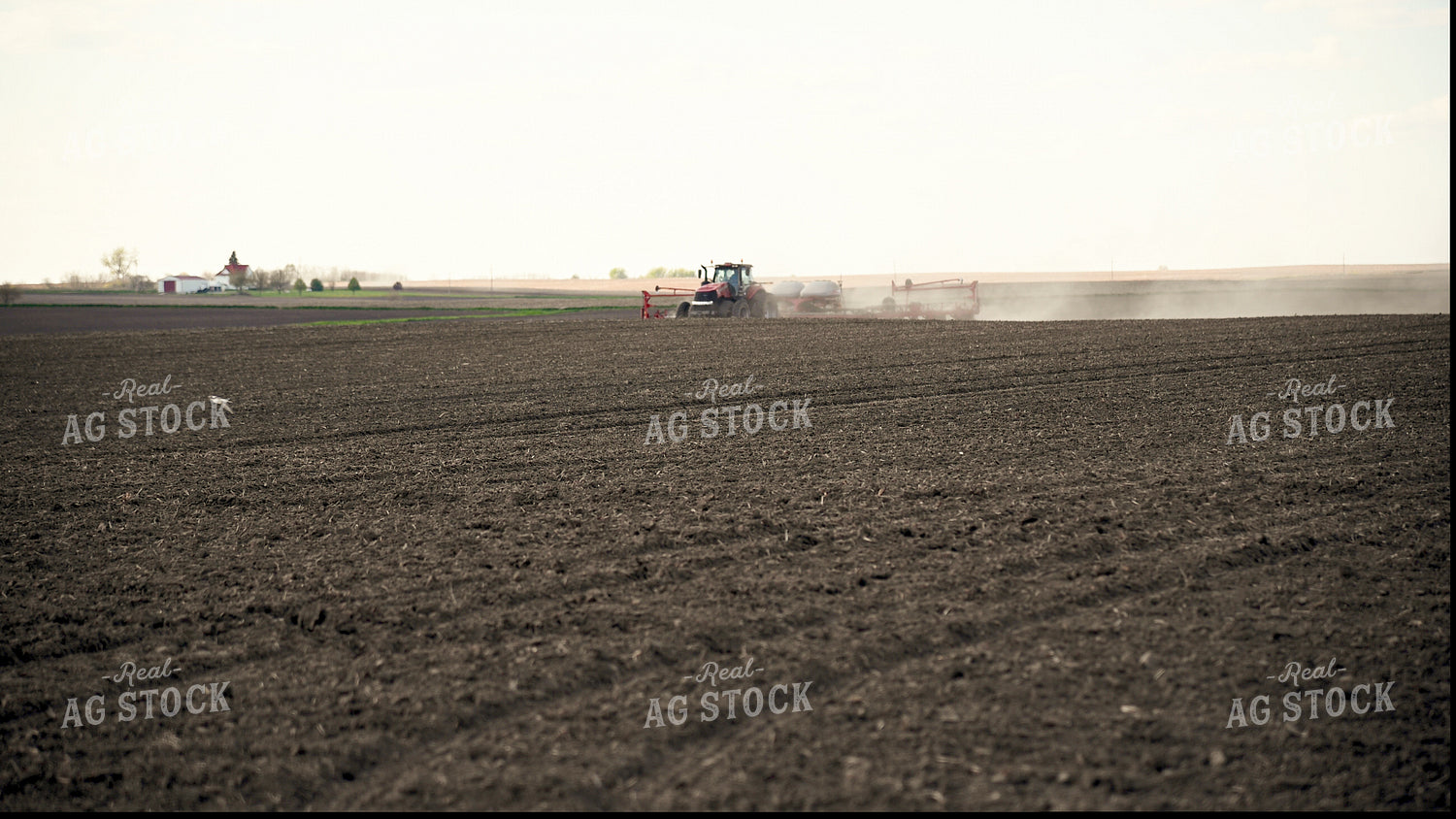 Planting on Flat Ground 25232