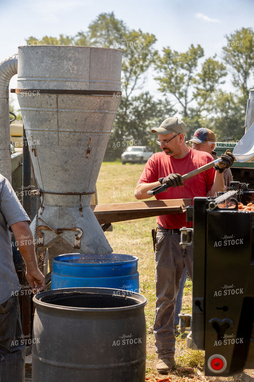 Farmers Operating Grain Cleaning and Seed Processing Equipment Outdoors 405011