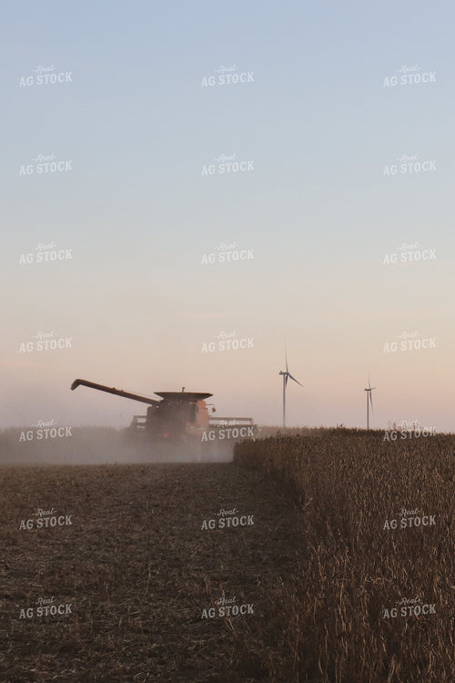 Harvesting Soybeans at Dusk 67037