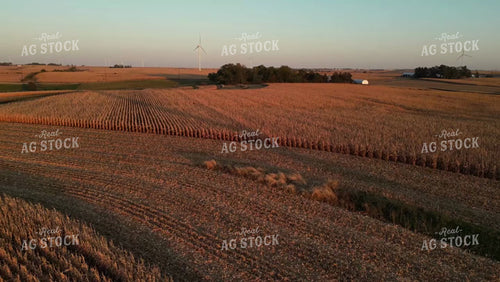 Aerial of Dried Corn Field 268054