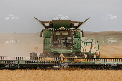 Wheat Harvest 187200