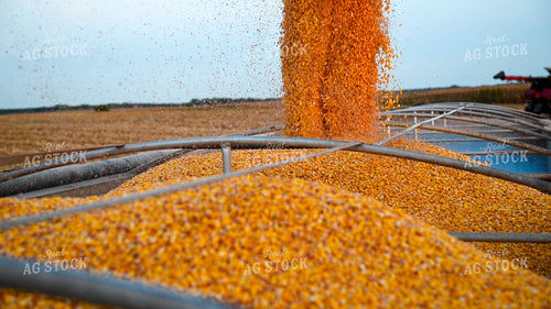 Grain Cart Unloading into Semi 25496