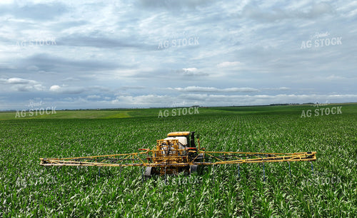 Y Dropping Corn 141369