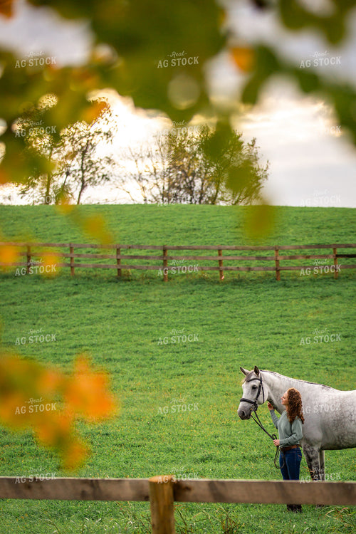 Female Equestrian with Horses 270397