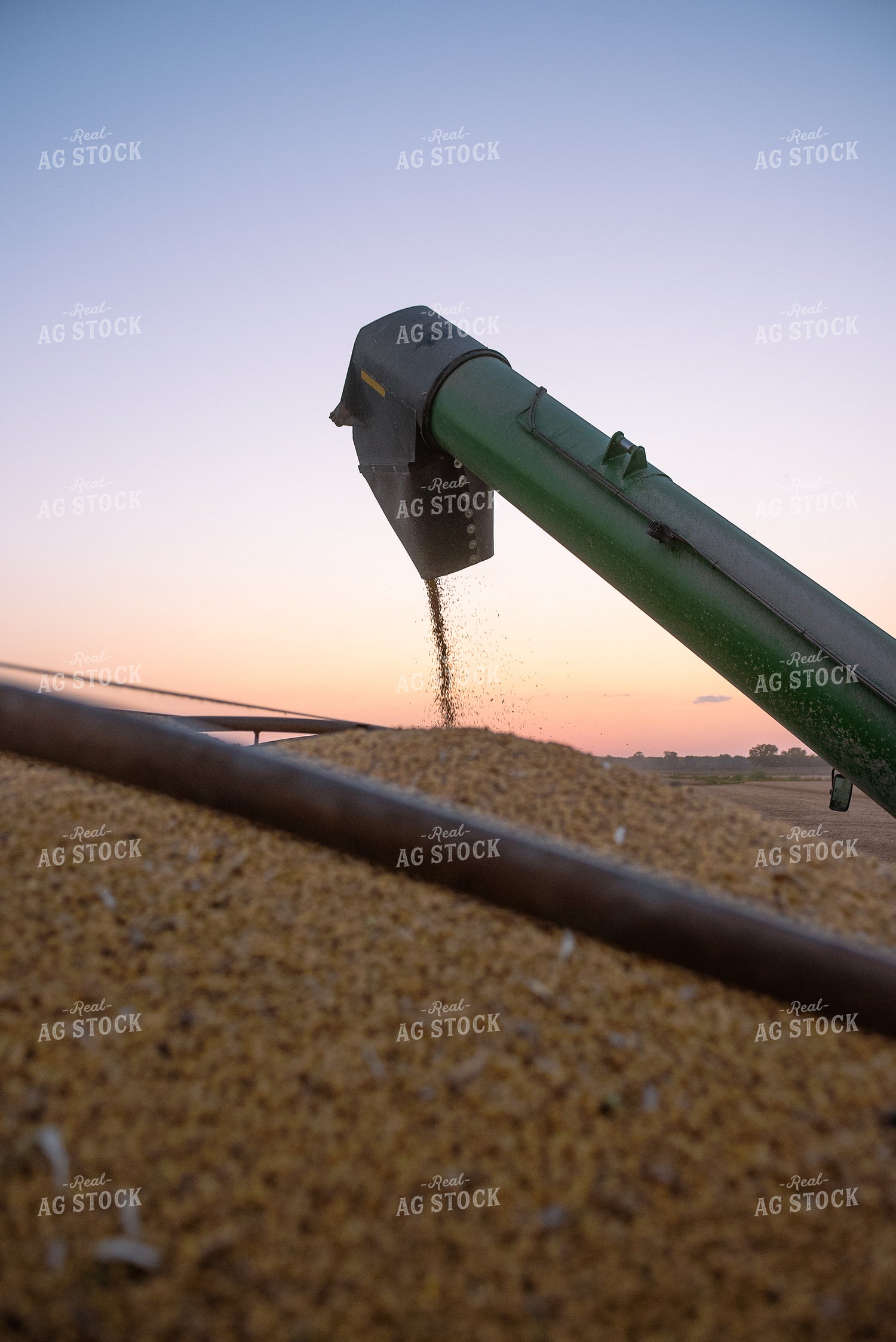 Soybean Harvest 129078