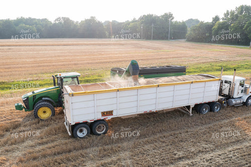 Soybean Harvest 79327