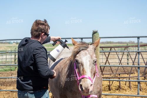 Farmer Grooming Horse 155585