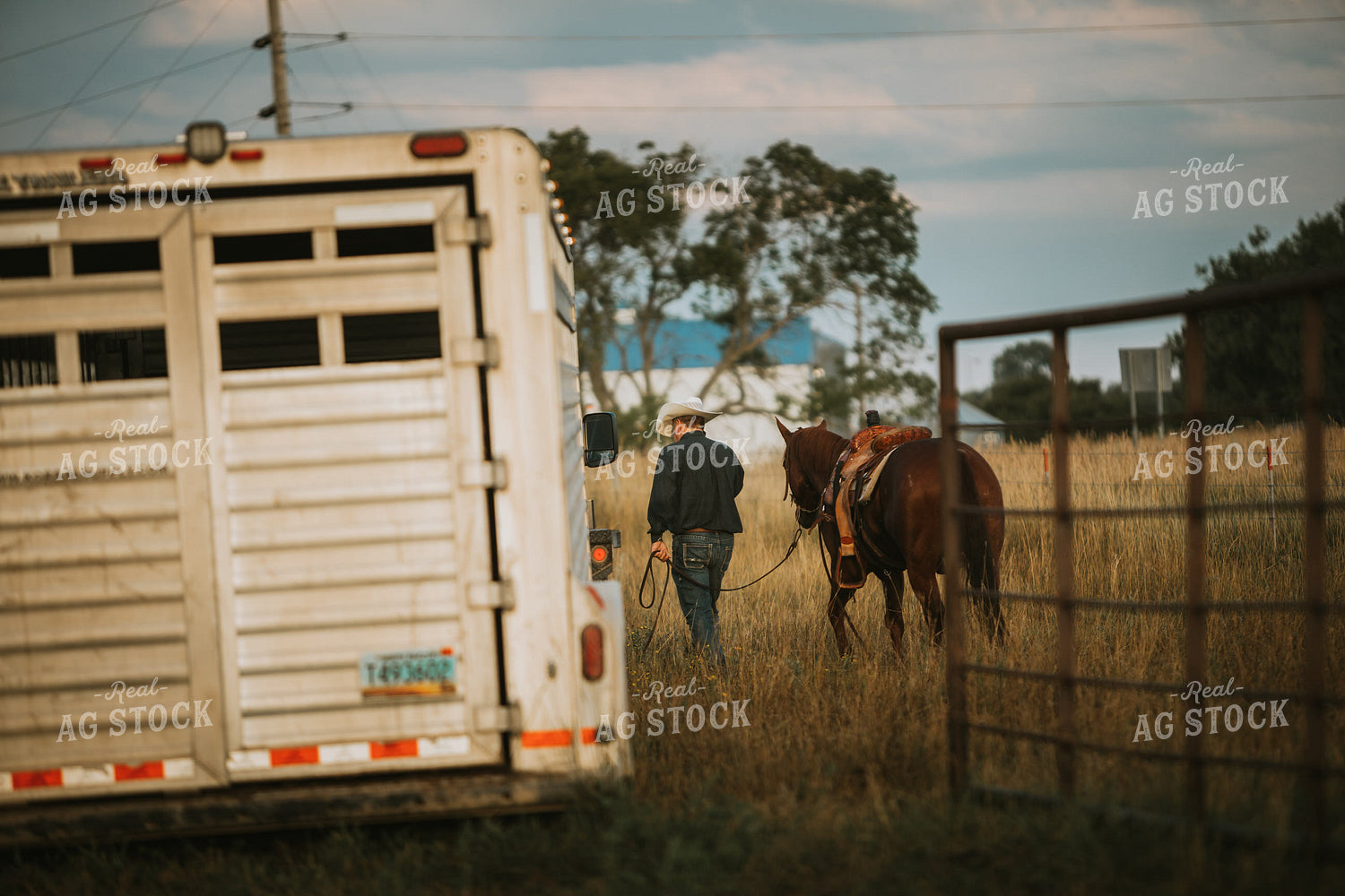 Rancher Near Livestock Trailer 6487