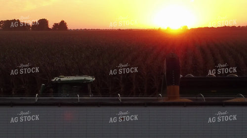 Corn Harvest 287031