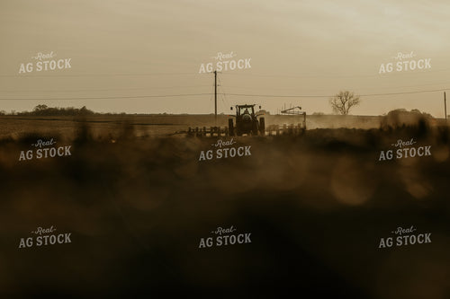 Planting 2855