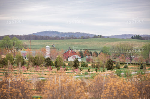 Tree Nursery 270507