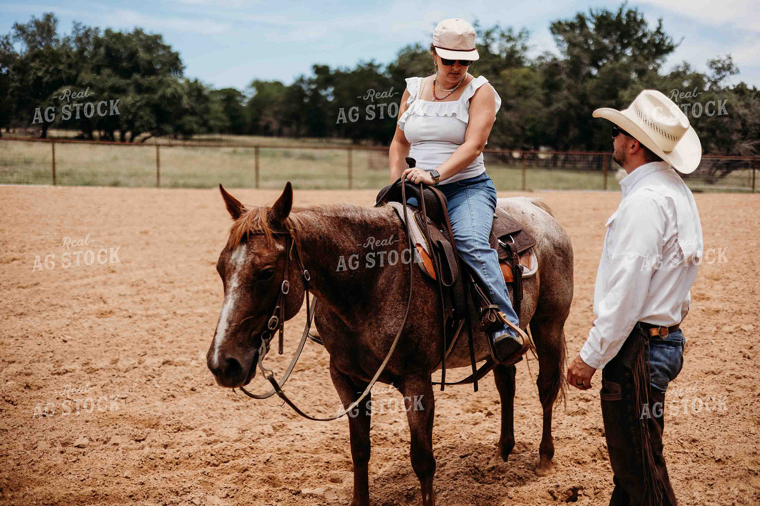 Horse and Rider in Arena 281081