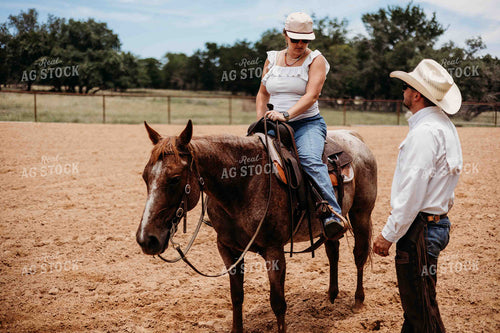 Horse and Rider in Arena 281081