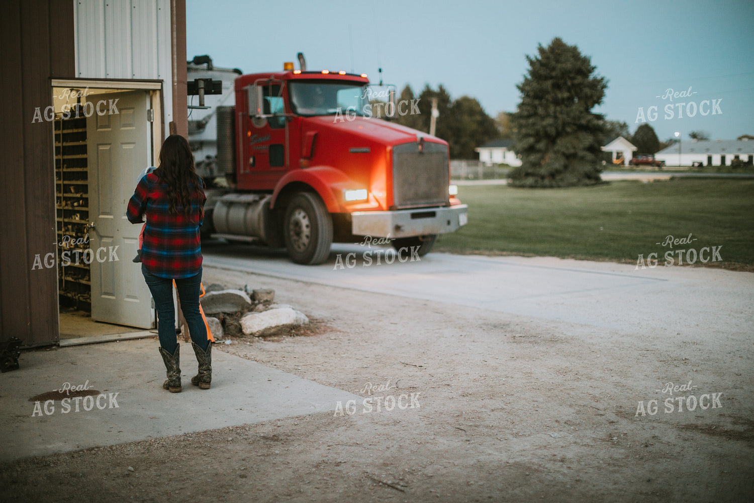 Semi Truck Pulling onto Scale at Farm 5142
