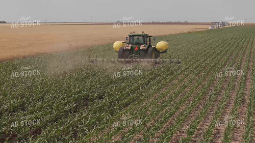 Ripping Corn 239310