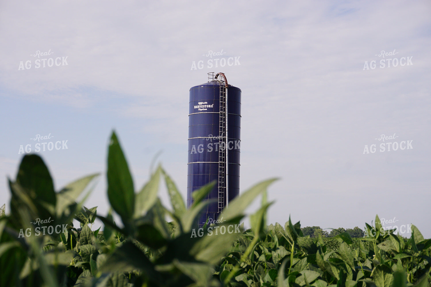 Harvestore Silo 148027