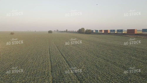 Train and Corn and Soybean Field at Sunrise Drone 6527
