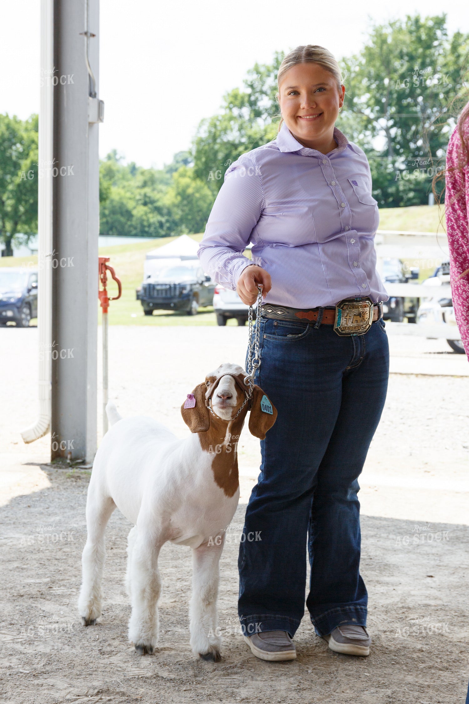 Showing Goats 295106