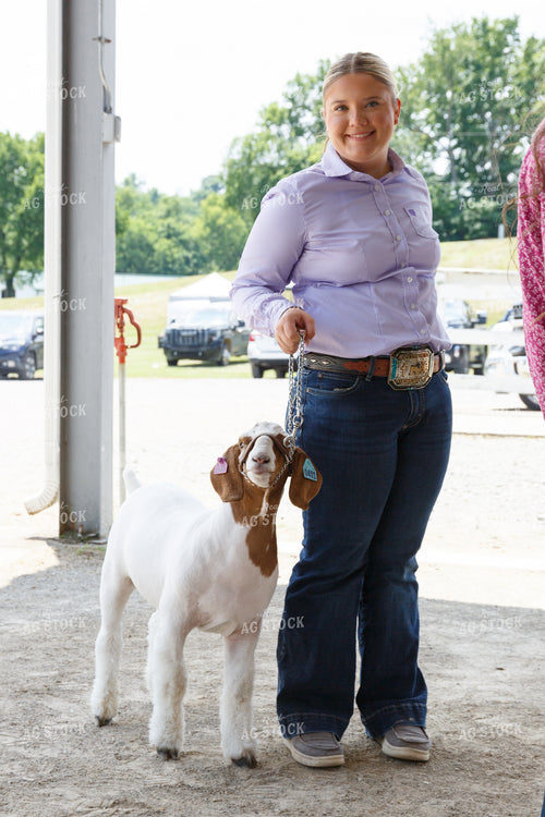 Showing Goats 295106
