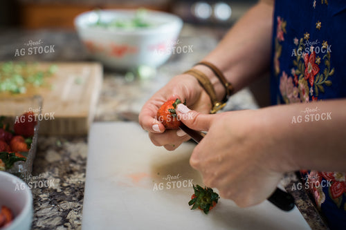 Farm Wife Prepping Meal in Kitchen 4398