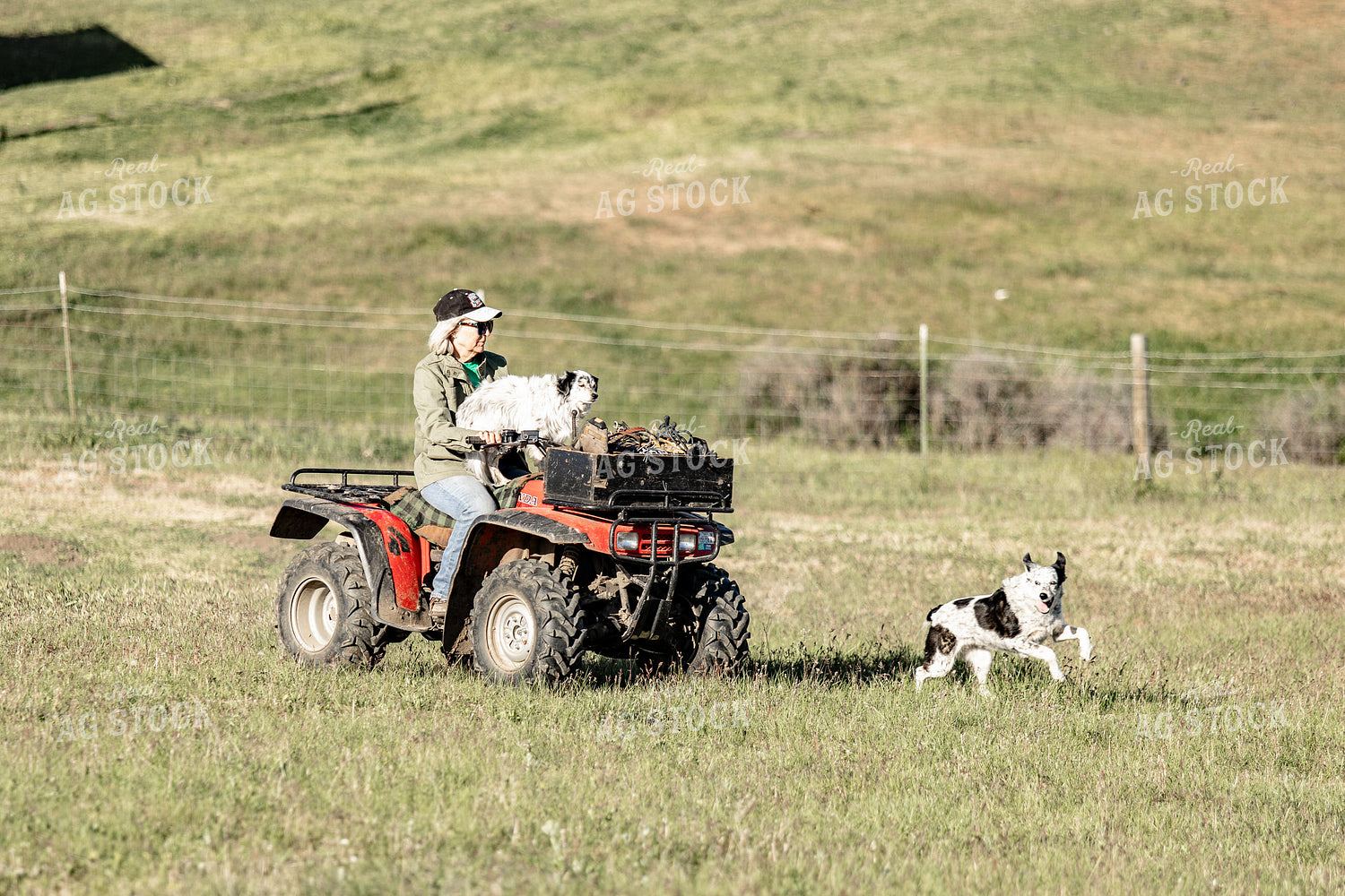 Female Rancher on Four Wheeler 188099