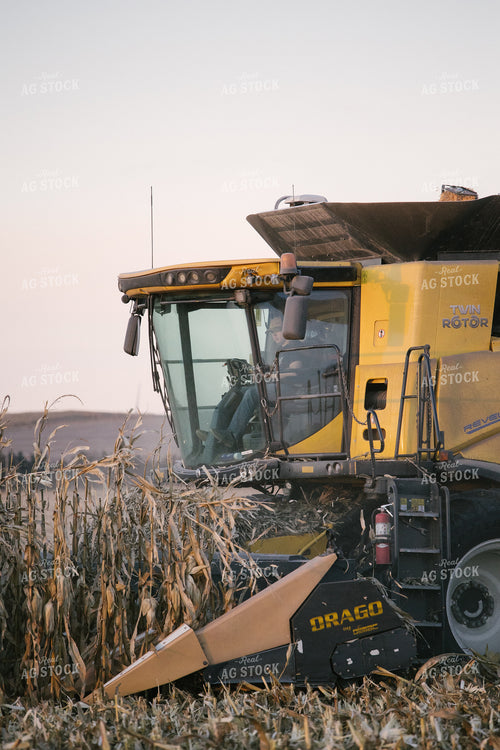 Combine Harvesting Corn at Sunset 70049