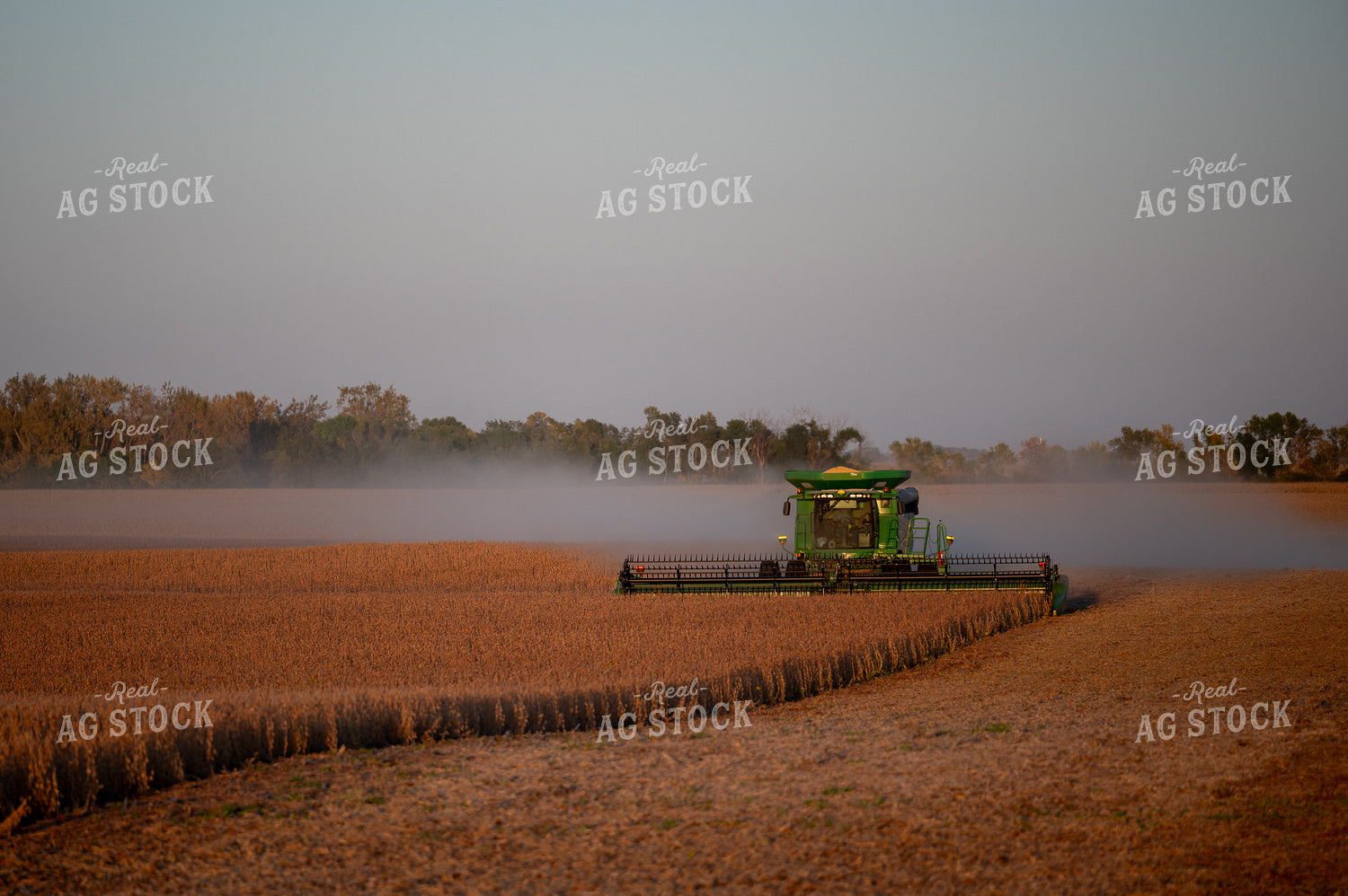 Soybean Harvest 185225