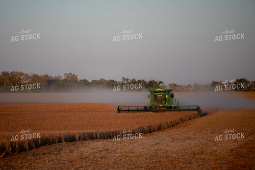Soybean Harvest 185225