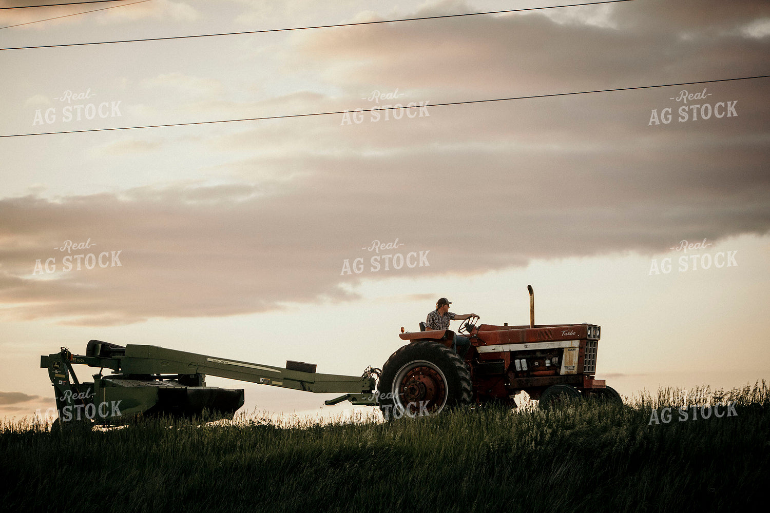 Farmer 2934